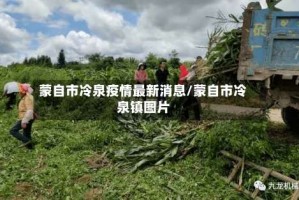 蒙自市冷泉疫情最新消息/蒙自市冷泉镇图片