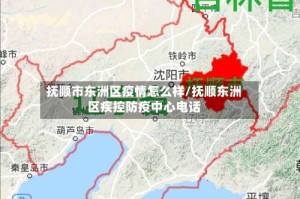 抚顺市东洲区疫情怎么样/抚顺东洲区疾控防疫中心电话