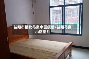 益阳市桥北马良小区疫情/益阳马良小区图片