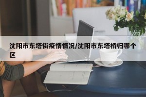 沈阳市东塔街疫情情况/沈阳市东塔桥归哪个区