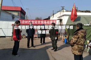 山东省邹平市疫情状况/山东邹平疫情通报