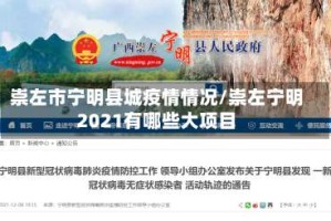 崇左市宁明县城疫情情况/崇左宁明2021有哪些大项目