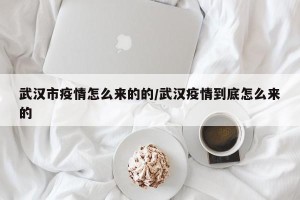 武汉市疫情怎么来的的/武汉疫情到底怎么来的