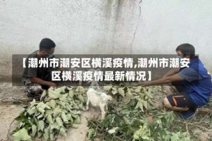 【潮州市潮安区横溪疫情,潮州市潮安区横溪疫情最新情况】