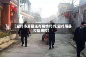 【宝鸡市眉县还有疫情吗吗,宝鸡眉县疫情防控】