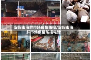安阳市海鲜市场疫情防控/安阳市海鲜市场疫情防控电话