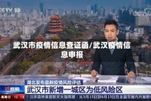 武汉市疫情信息查证函/武汉疫情信息申报
