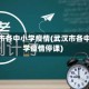 武汉市各中小学疫情(武汉市各中小学疫情停课)