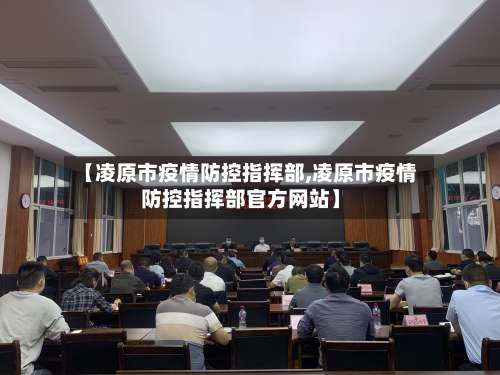 【凌原市疫情防控指挥部,凌原市疫情防控指挥部官方网站】-第1张图片