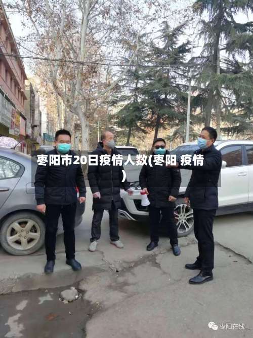 枣阳市20日疫情人数(枣阳 疫情)-第1张图片