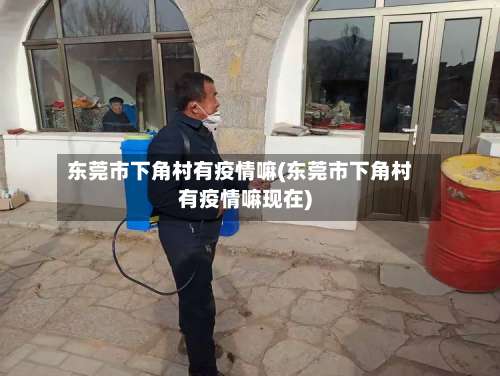 东莞市下角村有疫情嘛(东莞市下角村有疫情嘛现在)-第1张图片
