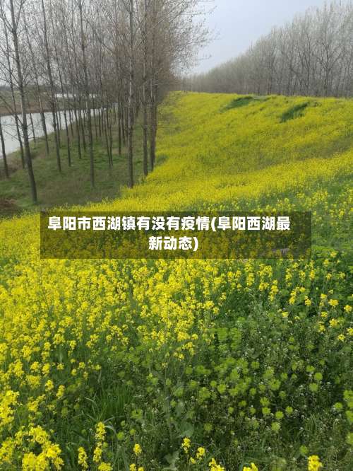 阜阳市西湖镇有没有疫情(阜阳西湖最新动态)-第1张图片