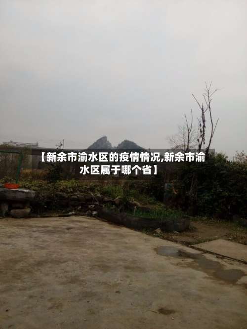 【新余市渝水区的疫情情况,新余市渝水区属于哪个省】-第3张图片