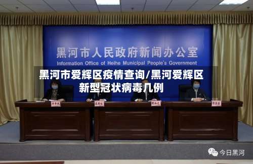 黑河市爱辉区疫情查询/黑河爱辉区新型冠状病毒几例-第1张图片